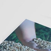 Quimtia's brochure. Een project van  Br, ing en identiteit, Redactioneel ontwerp y Grafisch ontwerp van Marco Tejada Paz - 16.03.2018