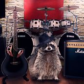 Mi Proyecto del curso: Matte Painting: raccoon world. Photo Retouching project by Karina Ramos Venegas - 07.25.2018
