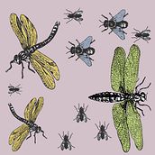 Insectos: Diseño de estampados textiles. Pattern Design project by Maria Cuevas - 03.21.2018