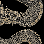 Camiseta para Core Combat Unlimited (artes marciales). Traditional illustration project by Dynamai Branding - 03.21.2018