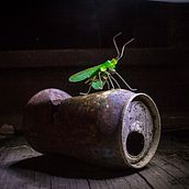 Año 2097. Un proyecto de Dirección de arte, Escenografía y Fotografía de Monobobo - 17.12.2017