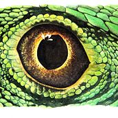 Ilustrando la ciencia  . Ilustrasi tradisional proyek oleh Marina Lezcano - 09.12.2017