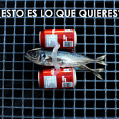 Campaña Medio Ambiente. Un proyecto de Br, ing e Identidad, Dirección de arte, Diseño, Diseño gráfico, Fotografía, Post-producción fotográfica		, Producción audiovisual					 y Publicidad de Mercedes Janowska - 20.03.2017