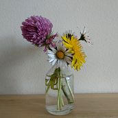 Chaperon Rouge . Pendidikan, Dan Menulis proyek oleh Laura Mendiburu Rojo - 03.29.2018