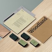 Woodland branding. Un proyecto de Br, ing e Identidad y Diseño gráfico de Viktoriya Semenova - 06.06.2018