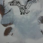 Buho. Trasferencia y grabado. Fine Arts project by Emma Jimeno - 04.04.2018