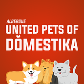 INSTAFRIENDS - UNITED PETS OF DOMESTIKA. Un projet de Conseil créatif, Marketing , et Publicité de Gerardo Gomez - 12.04.2018
