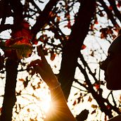 Mi Proyecto del curso: Introducción a la Fotografía digital. Un progetto di Fotografia di Fernando Alvarado - 12.04.2018