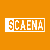 SCAENA - Reposicionamiento de marca. Br, ing e Identidade, Design de produtos, Design editorial, Design gráfico, e Retoque fotográfico projeto de Marina Liddy Riera - 01.01.2016