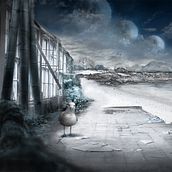 Gaviota en la playa Ein Projekt aus dem Bereich Traditionelle Illustration von Bonaria Staffetta - 15.04.2018