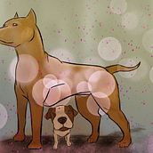 Mi Proyecto del curso: Ilustración digital con lápices de colores Ein Projekt aus dem Bereich Kreativität von drizt22 - 25.04.2018