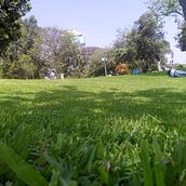 Paisajes  . % maykol gonzalez lisboa tarafından hazırlanan Fotoğrafçılık projesi - 04.25.2018