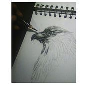 Boceto de un Águila  . Een project van  Urban art, Craft,  Schetsen,  Tekening, Tekening met potlood y  Art direction van Diego Vargas - 29.04.2018