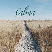 Packaging Vino Calma. Design, Graphic Design, and Packaging project by Marrow Design - 04.29.2018