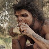 El Hombre de Orce. Film, Video, TV, and Video project by Óscar Girón - 06.10.2015