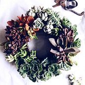 [Rosca de Suculentas]. Design, L, and scape Architecture project by Compañía Botánica - 05.21.2018