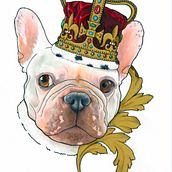 Retratos de mascotas. Design, and Traditional illustration project by Angela Menendez - 05.25.2018