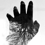 Fotolibro. Un projet de Photographie, Illustration traditionnelle , et Retouche photographique de Cecilia Guerrero - 13.04.2016