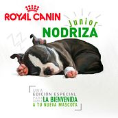 ROYAL CANIN JUNIOR NODRIZA. Creativit, Design, Graphic Design, Br, ing, Identit, Film, Video, TV, Cop, writing, and Art Direction project by Monika Álvarez Rueda - 05.30.2018