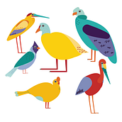 BIRDS. Projekt z dziedziny  R, sunek, Trad, c, jna ilustracja, Ilustracja c i frowa użytkownika Karolayne Pez - 30.05.2018