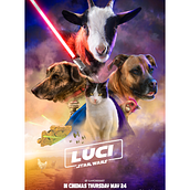 Proyecto final: LUCI. Un proyecto de Cine, Diseño de carteles y Retoque fotográfico de Héctor Roth - 01.06.2018