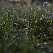 ESTUDIANTE: Trabajo práctico: Consigna - 1 Palabra, 1 imagen.. Un projet de Photographie de Bárbara Marcos - 01.06.2018