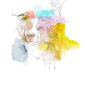 Retrato. Drawing, and Traditional illustration project by Pere Peña RIbas - 06.06.2018