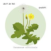 Flores de mayo. Un proyecto de Diseño gráfico, Ilustración digital e Ilustración vectorial de Rosa Suñé Barniol - 30.05.2018