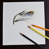 Ilustración Editorial. Traditional illustration project by Begoña Górriz - 06.11.2018