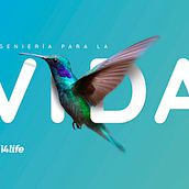 i4life. Imagen corporativa. Br, ing, Identit, and Graphic Design project by Manuel Persa - 06.27.2018
