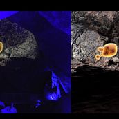 Coves del Salnitre. 3D, 2D Animation, 3D Animation, Graphic Design, 3D Modeling, and Motion Graphics project by Javier - 06.28.2018
