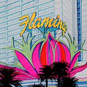 GR_Flamingo. Drawing, and Traditional illustration project by Alfonso Girón Pérez - 07.01.2018