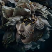 Flower series. Creativit, Digital Illustration, and Photo Retouching project by Flo Tucci - 04.04.2018