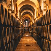 Contenido audiovisual para Bodegas Fundador . % Fogón tarafından hazırlanan Fotoğrafçılık, Ve Video projesi - 07.12.2018