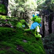 Dragon Amigurumi. To, Design, Character Design, Traditional illustration, Sewing, and Sculpture project by Vanesa Quintanar Olguin - 08.21.2018