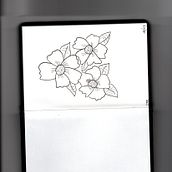 Flores de mi bitacora . Projekt z dziedziny Projektowanie graficzne, Trad, c i jna ilustracja użytkownika Maria Fatima Sosa - 15.07.2018