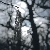 Director // Vals Perenne - Cortometraje documental Ein Projekt aus dem Bereich Kino und Kino, Video und TV von Gabriel Pout Lezaun - 20.03.2016
