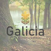 DISEÑO LOGOTIPOS. Un projet de Design graphique de Catuxa Barreiro - 31.07.2018