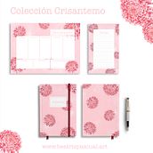 Mi Proyecto del curso: Ilustración botánica con acuarela. Un progetto di Illustrazione tradizionale, Belle arti, Pittura, Disegno, Pittura ad acquerello e Illustrazione botanica di Beatriz Pascual - 04.08.2018