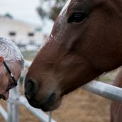 Documental "Uno Entre un Millón"  . % Pablo M. Barroso tarafından hazırlanan Film projesi - 08.03.2018