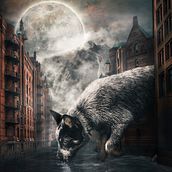 Thristy Dog. Fine Arts, Graphic Design, and Photo Retouching project by Aneth Charles - 08.05.2018