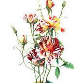 Rosal. Un projet de Illustration traditionnelle de Casandra Pina - 05.08.2018