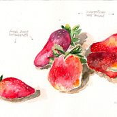 Mis sueńos dulces :). Een project van Aquarelschilderen van Magdalena Syguła - 13.08.2018