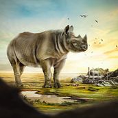 Rhino. Fine Arts, Concept Art, Creativit, and Photo Retouching project by Aneth Charles - 08.17.2018