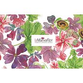 Proyecto de packaging: La malva flor. Logo Design, and Packaging project by querida77 - 09.01.2018