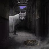 Mi Proyecto del curso: El renacer de Fenrir. Photo Retouching project by Franco González - 08.28.2018