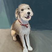 Retrato de mi perro. Projekt z dziedziny Kreat, wność, Trad, c, jna ilustracja, Ilustracja c i frowa użytkownika Wilbert Fonseca Rodriguez - 31.08.2018