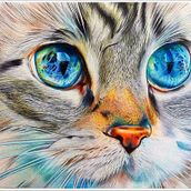 Drawing.ballpointpen.ByCesarkibler. 3D Animation, Character Animation, Fine Arts, Creativit, Drawing, Pencil Drawing, Artistic Drawing, Portrait Drawing, and Realistic Drawing project by cesar_000kibler - 08.31.2018