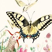 Proyecto Mariposa. Ilustração tradicional projeto de Viktoria Schmidt - 02.09.2018