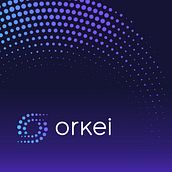 Orkei Software. Art Direction, and Logo Design project by Acid Estudi - 09.03.2018